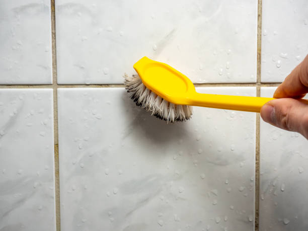 Best Professional Mold Removal  in Larkfield Wikiup, CA