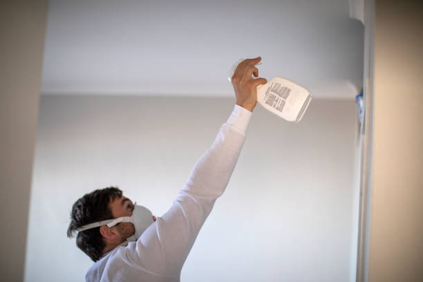 Best Attic Mold Removal  in Larkfield Wikiup, CA