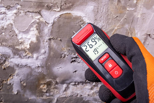 Best Mold Damage Repair  in Larkfield Wikiup, CA
