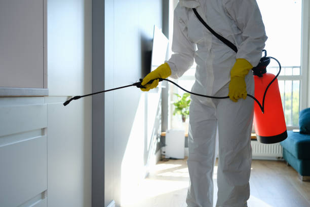Best Professional Mold Removal  in Larkfield Wikiup, CA
