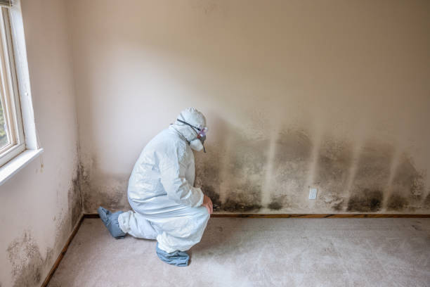 Best Office Mold Removal Services  in Larkfield Wikiup, CA
