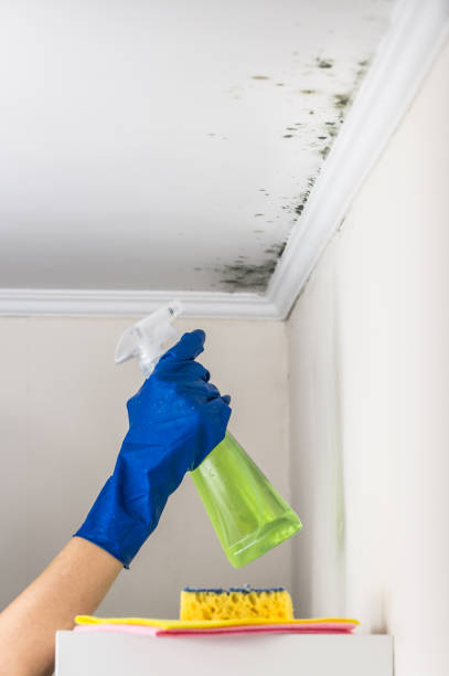 Best Emergency Mold Removal  in Larkfield Wikiup, CA